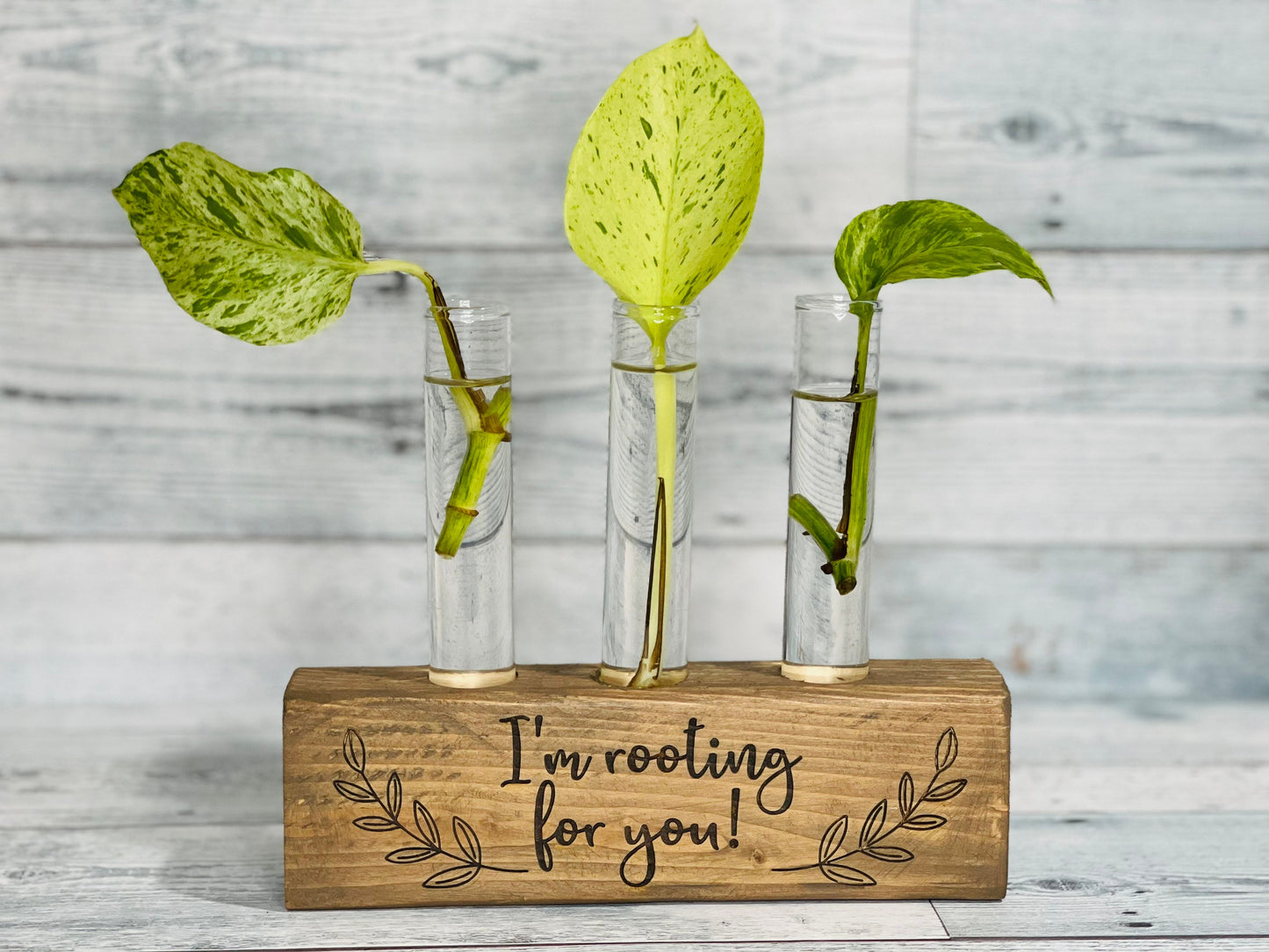 Propagation Station - I'm Rooting for You - Plant Vase - Propagation Stand - Bud Vase - Stem Vase