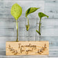 Propagation Station - I'm Rooting for You - Plant Vase - Propagation Stand - Bud Vase - Stem Vase