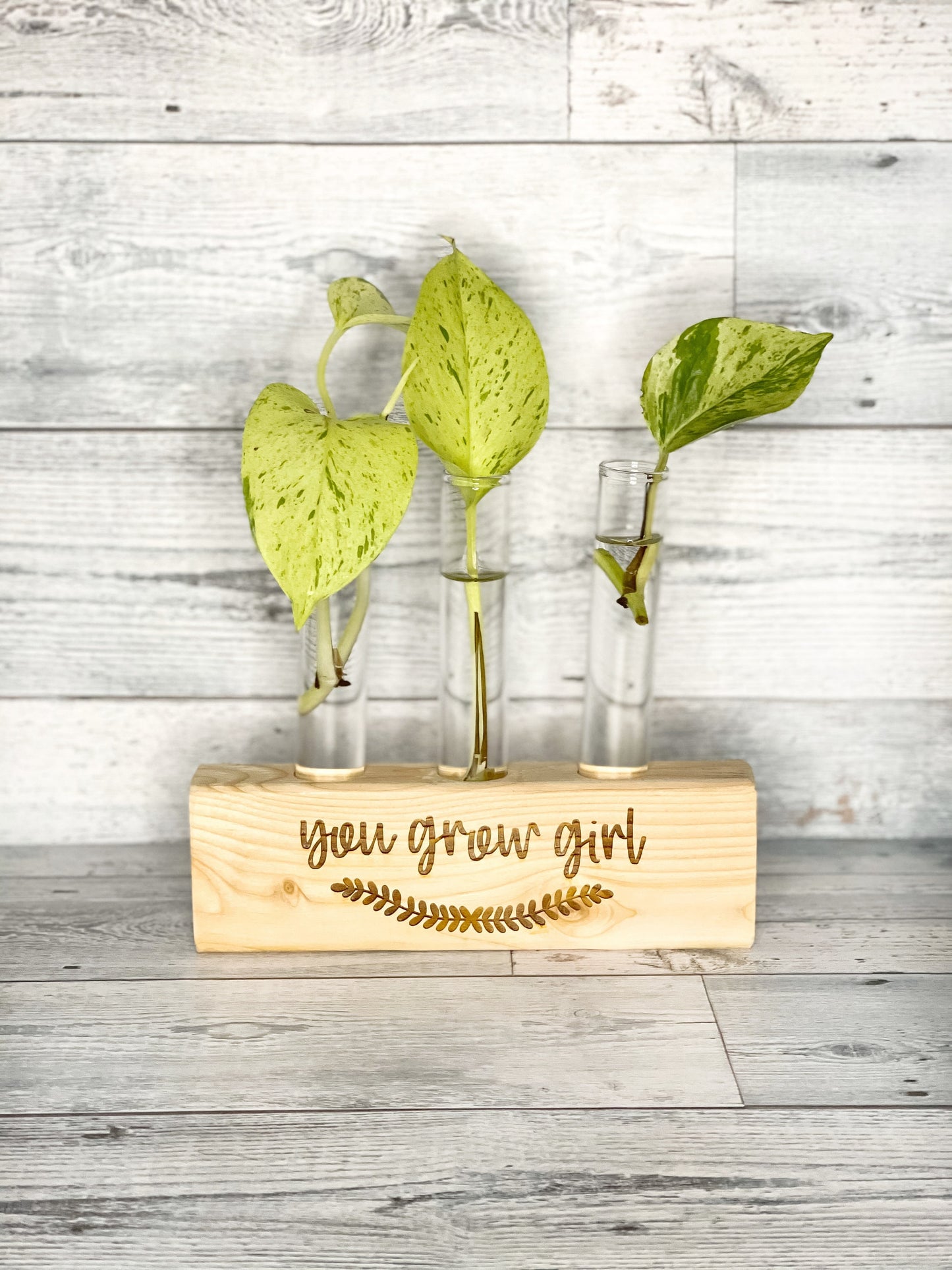 Propagation Station - You Grow Girl - Plant Vase - Propagation Stand - Bud Vase - Stem Vase
