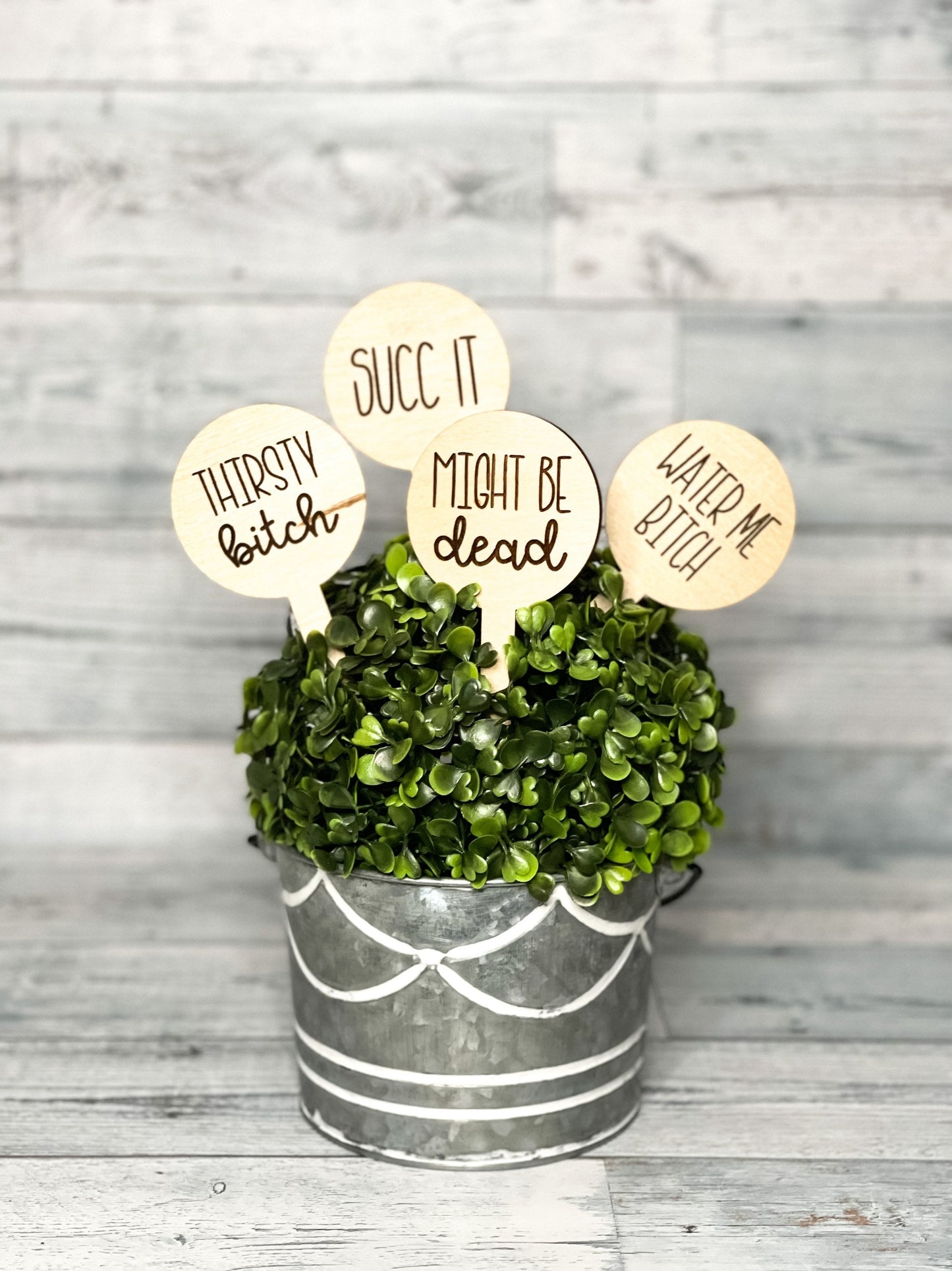 Funny Plant Stakes - Plant Pun Marker - Indoor Plant Decoration