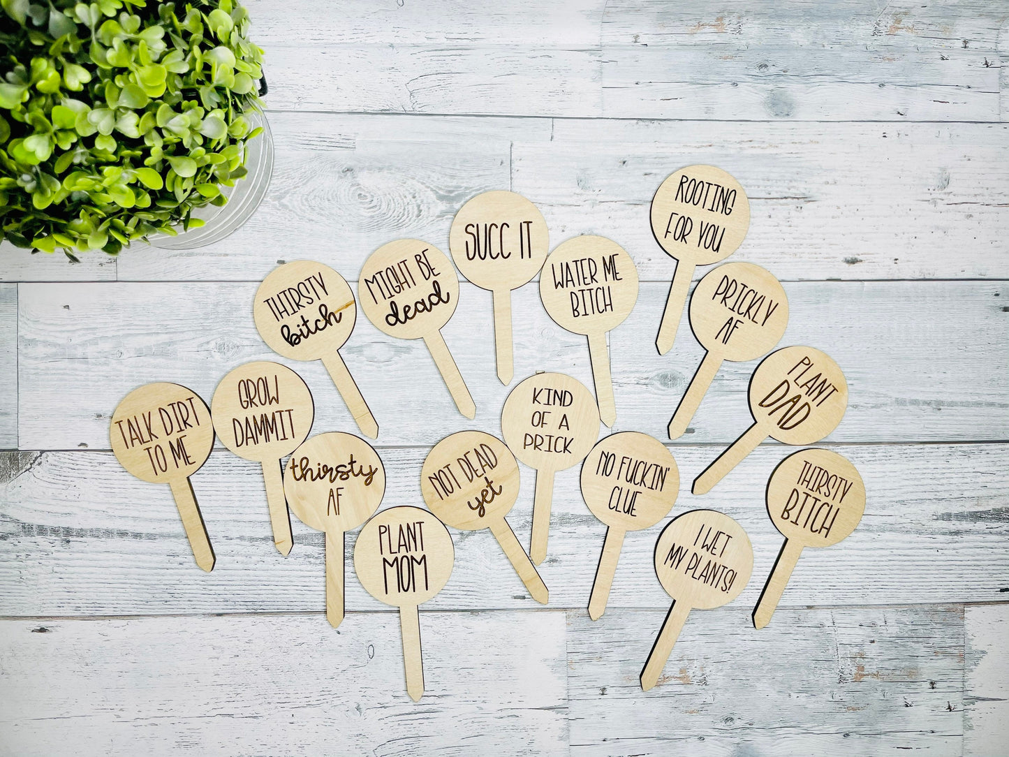 Funny Plant Stakes - Plant Pun Marker - Indoor Plant Decoration