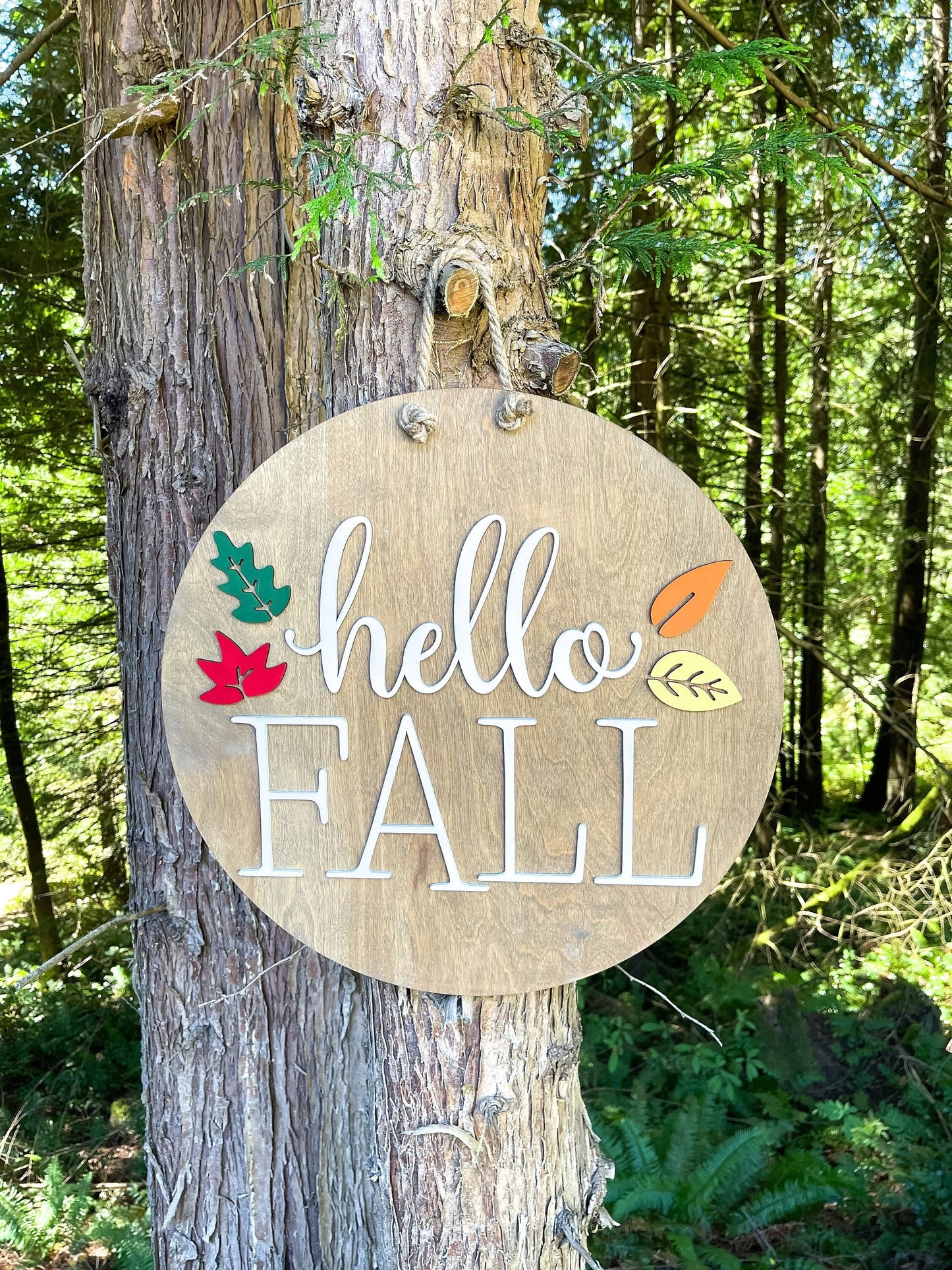 Hello Fall Wooden Door Hanger - Fall Porch Decor- Autumn Door Sign