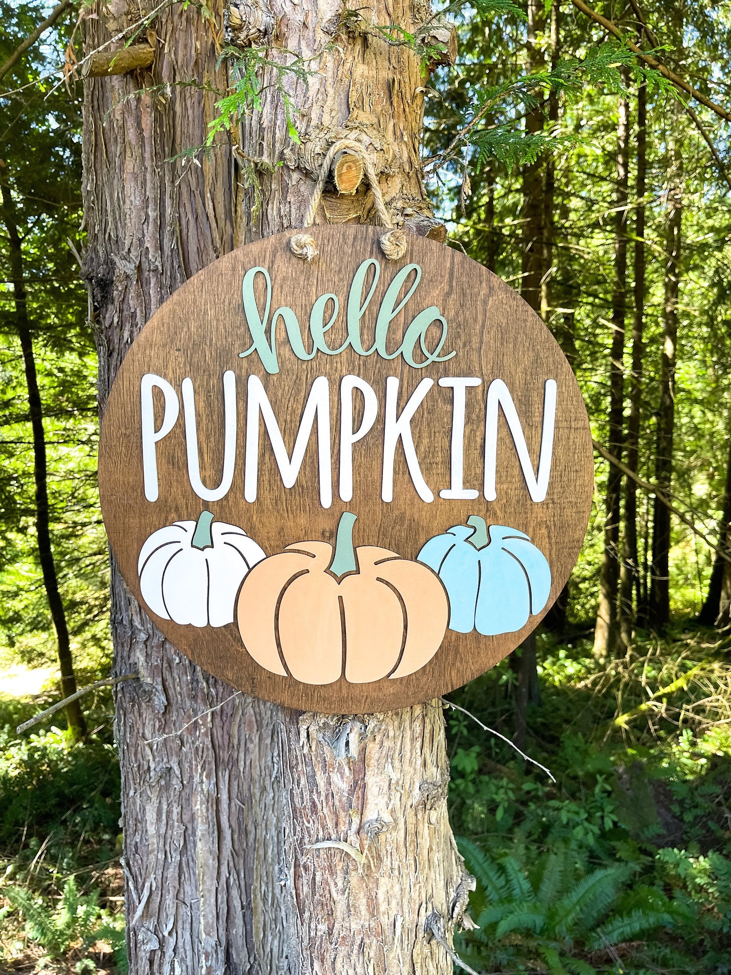 Hello Pumpkin Wooden Door Hanger - Fall Porch Decor- Autumn Pumpkin Door Sign
